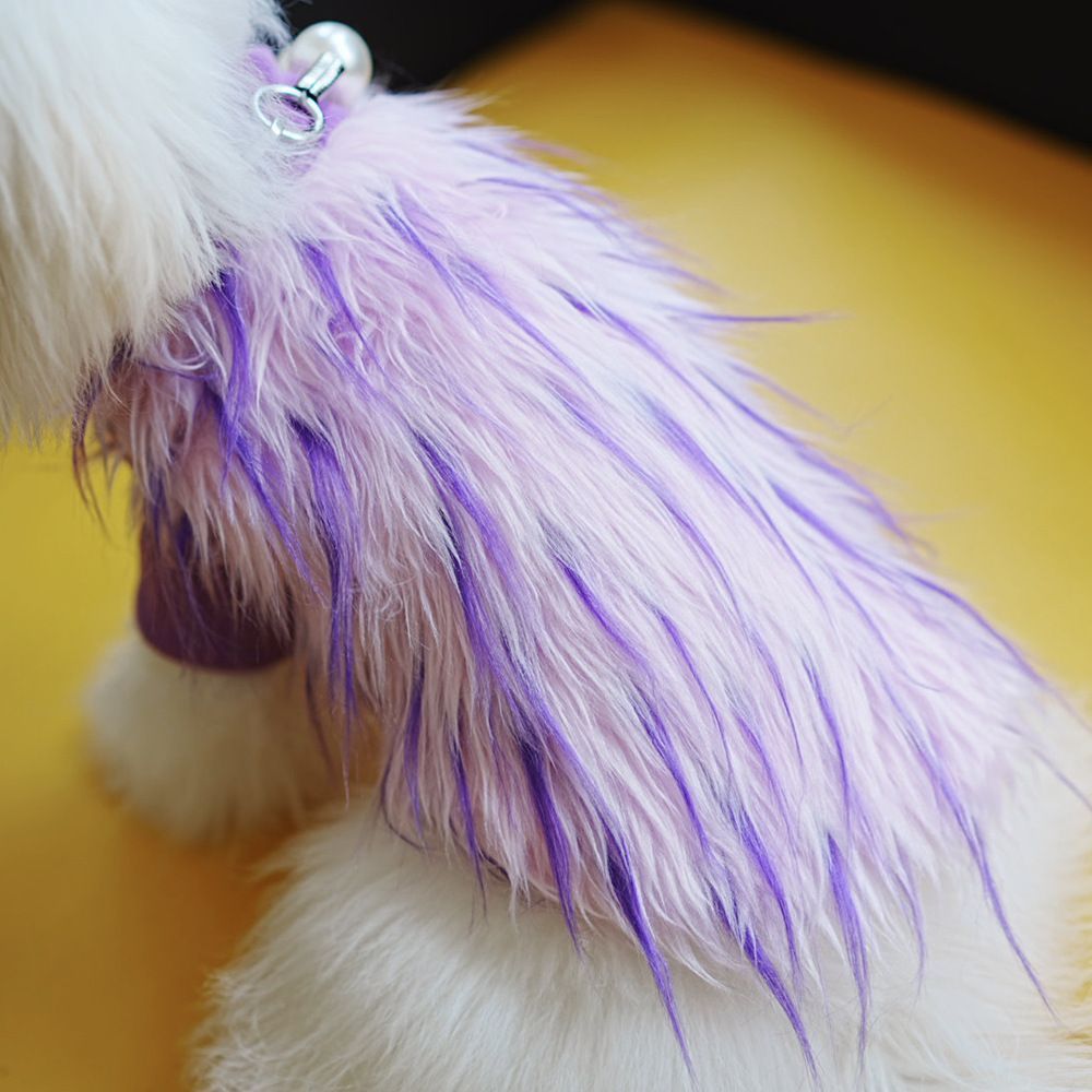 おしゃれ犬