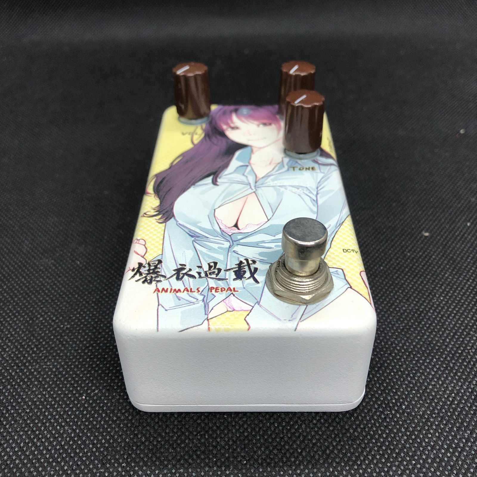 Animals Pedal Custom Illustrated 爆衣過載 Animals Pedal Custom Illustrated Surfing Bear Overdrive by