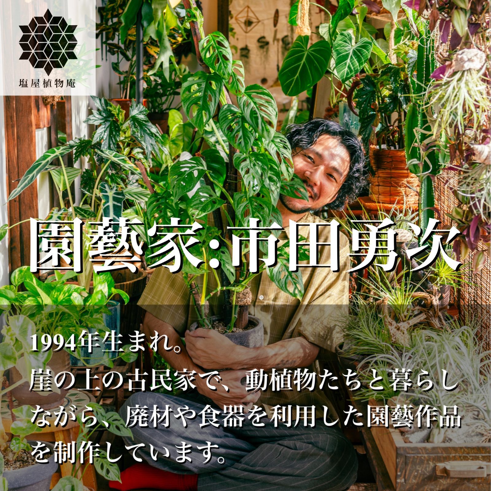 ハンキング 壁掛け