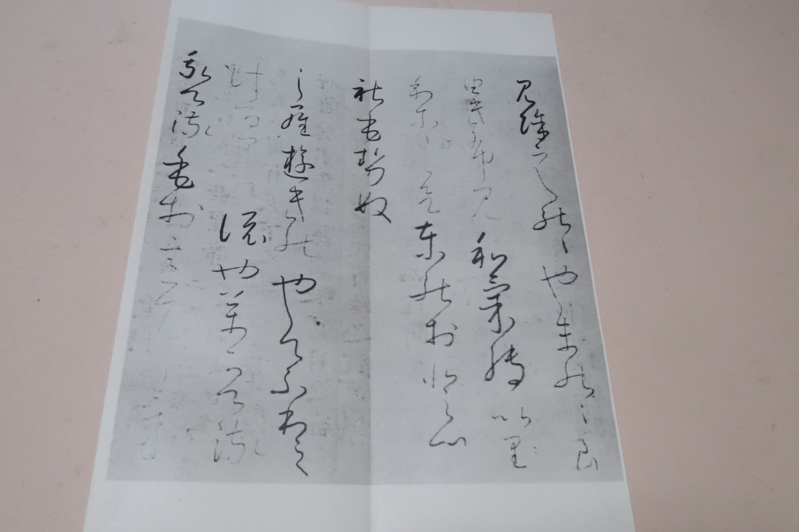 Akihagi-jō_1.jpg