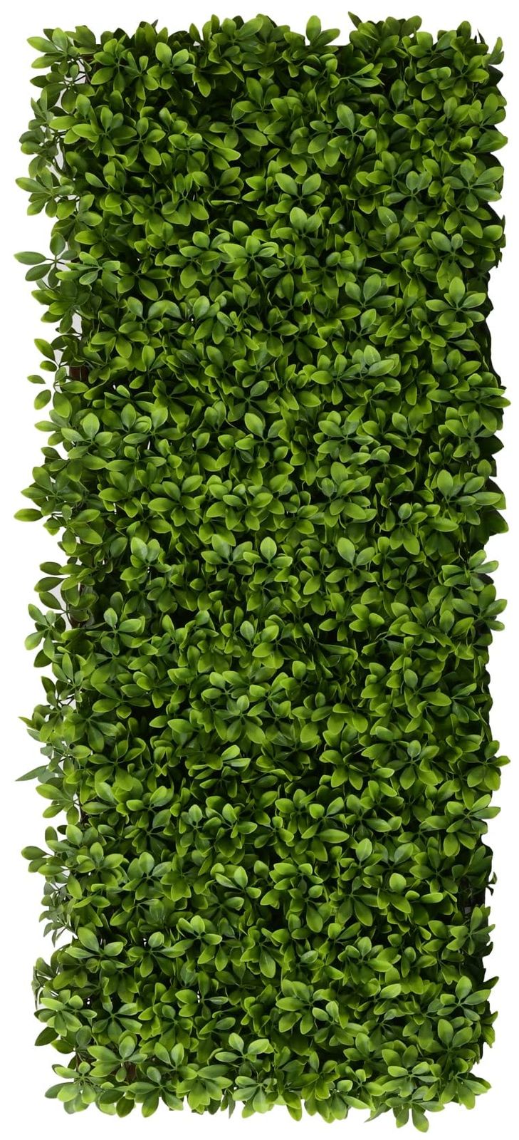 グリーンフェンス 90×180㎝ 簡単設置 簡単固定 軽量 水やり不要 山善 YAMAZEN フェンス 庭 人工観葉植物 おしゃれ グリーンカーテン リーフデコレーション エクスパンド EX-90180LG ライトグリーン