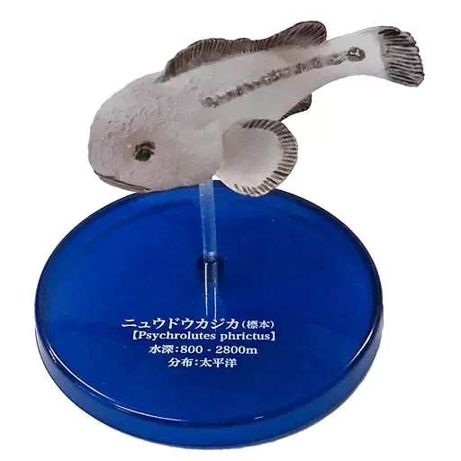 WqzmkhrqnzxaMvQbmPNuqm.webp@webp