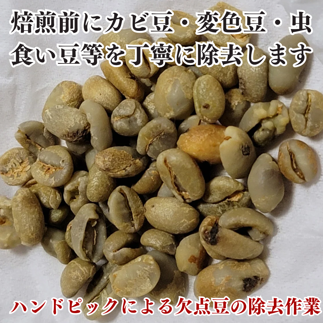 選べる3種 健康新鮮ドリップコーヒー 12個 可愛い猫柄 ねこのめ珈琲 ハンドピック済 炭火自家焙煎コーヒー豆 お土産用にもどうぞ