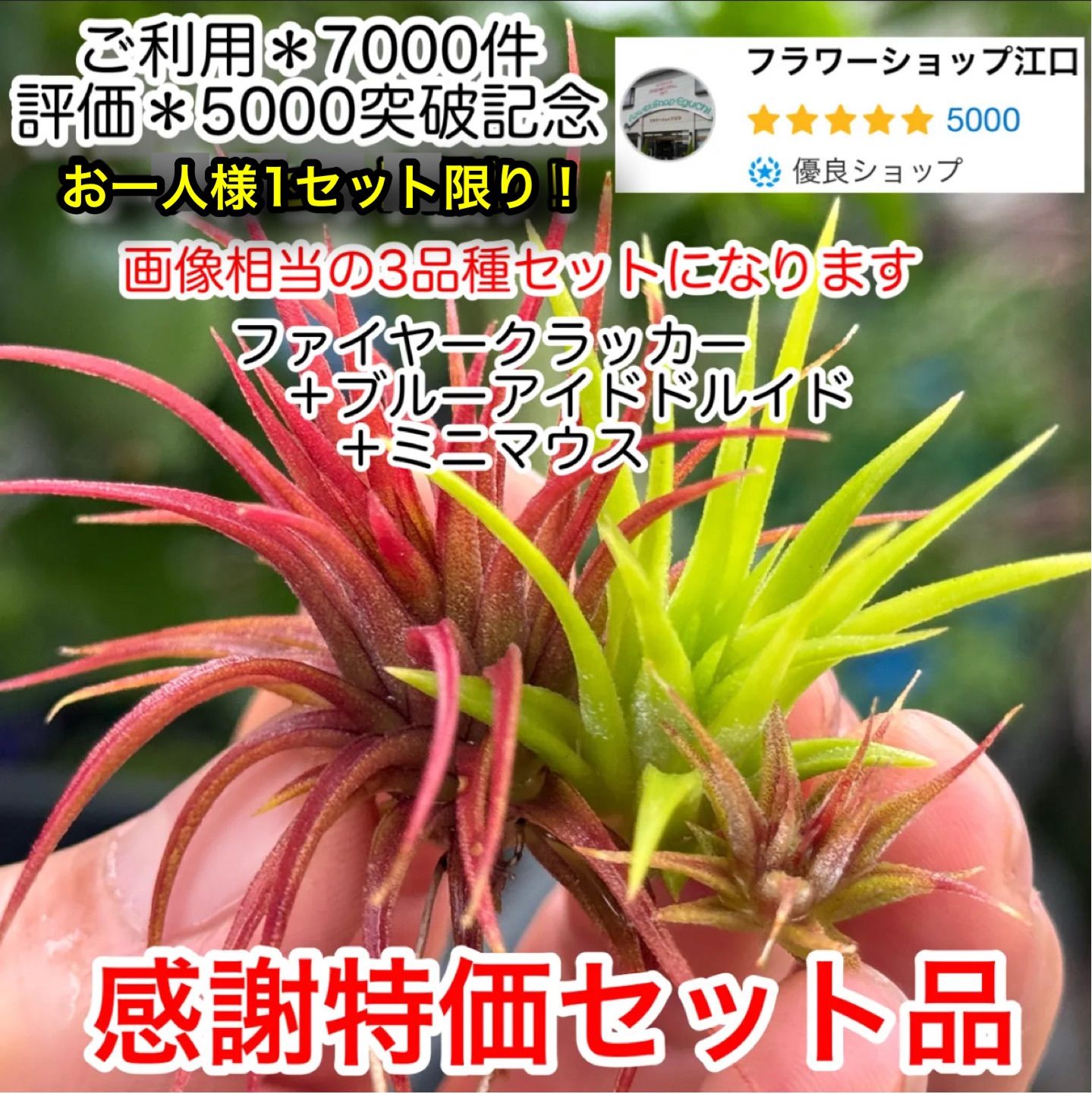 評価5千件＊ご利用7千件＊突破記念感謝特価2,740円⇒1,780円