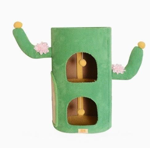 ZYP29今がチャンス