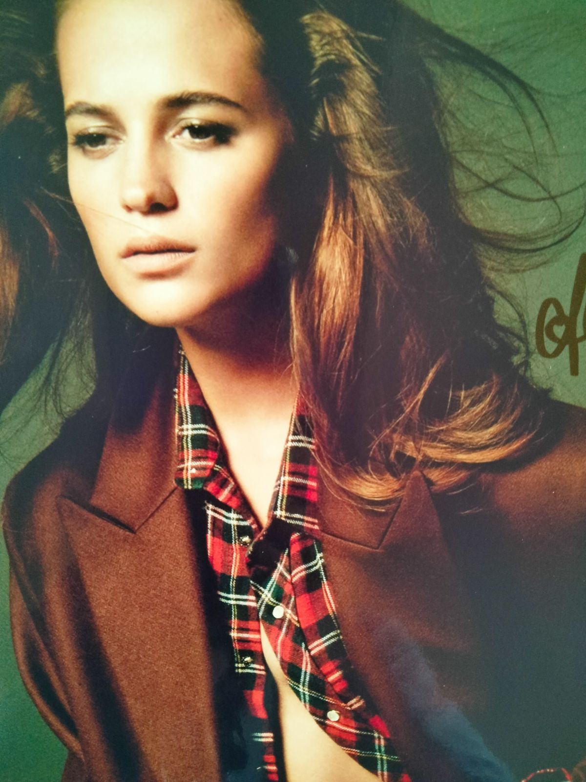 Amazon.co.jp: アリシア ヴィキャンデル直筆サイン入り大型写真… Alicia Vikander : Toys & Games
