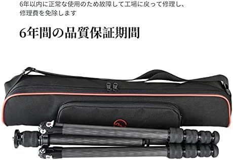 4段 アルカスイス