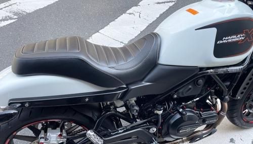 ダイナ FLD1580 スイッチバック 2013年車外し カスタムシート 蛇柄 ダイナ FLD1580 スイッチバック 2013年車外し カスタムシート 蛇柄