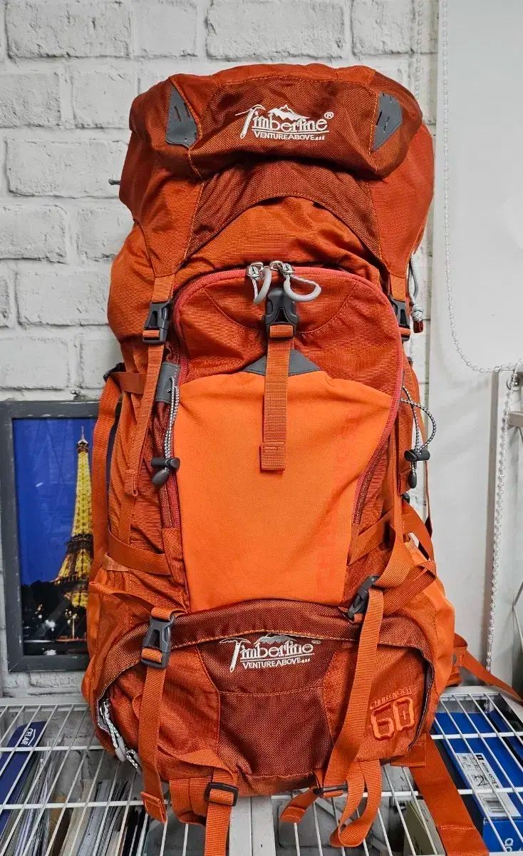 ティンバーライン 挑戦者 60L 60 リットル 登山リュック テント バックパック OC89