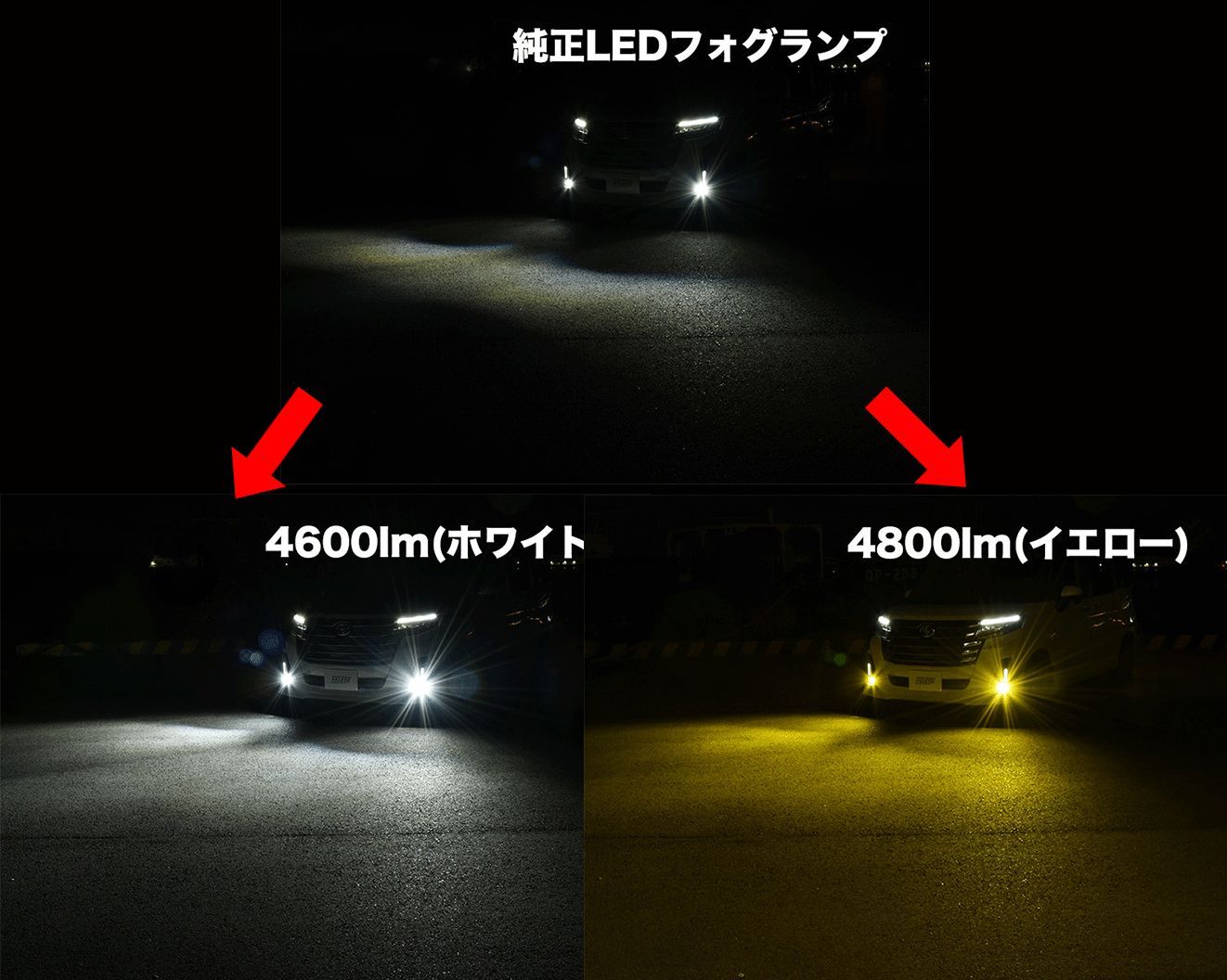 ステップワゴン R4.6～ RP6 RP7 RP8 LED フォグランプ VELENO 4800lm 