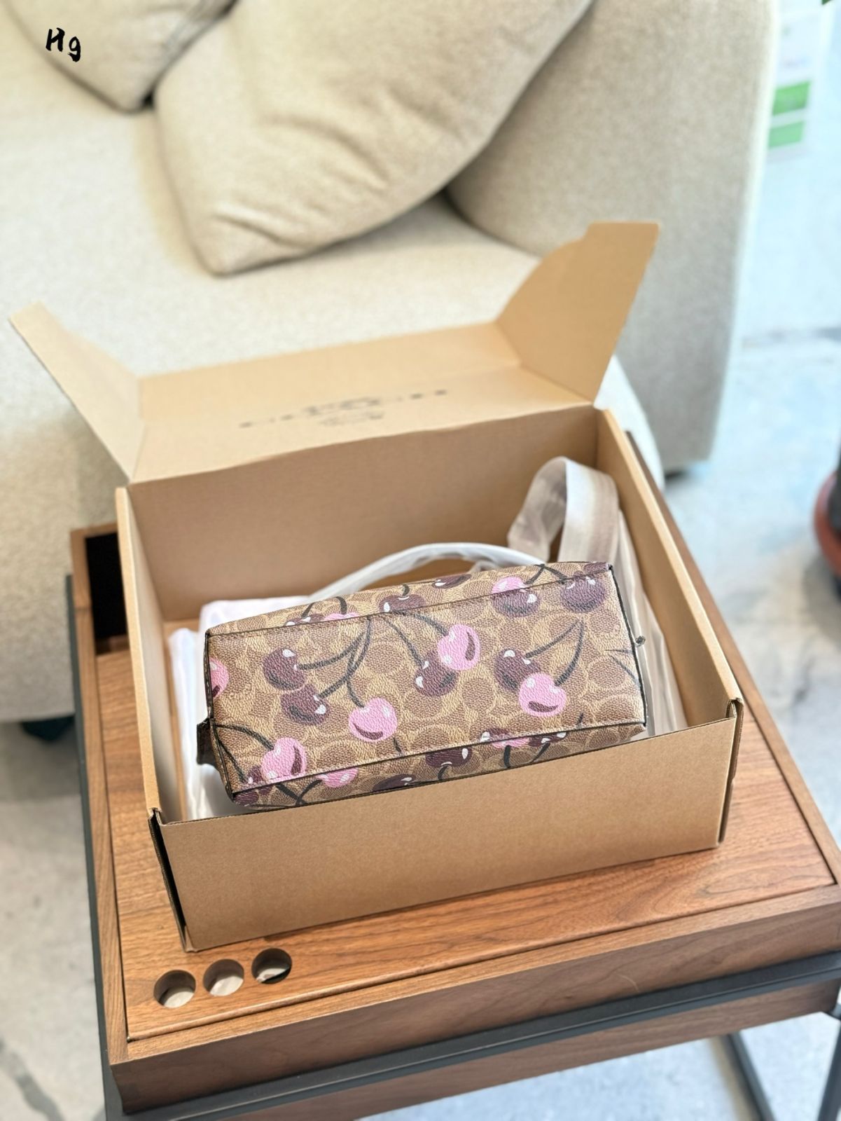 【可愛いチェリー柄★Coach★Mollieトートバッグ25 】 公式】コーチアウトレット | モリー トート 25・チェリー プリント
