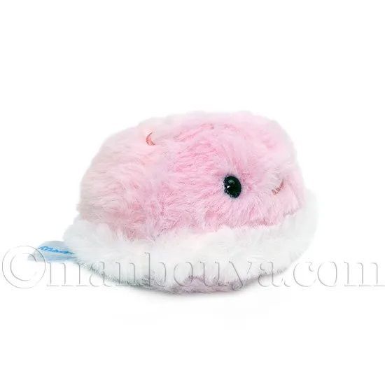 クラゲちゃんハンドメイドぬいぐるみ☆くらげ　クラゲ　海月　水族館　海 クラゲちゃんハンドメイドぬいぐるみ☆くらげクラゲ海月水族館海