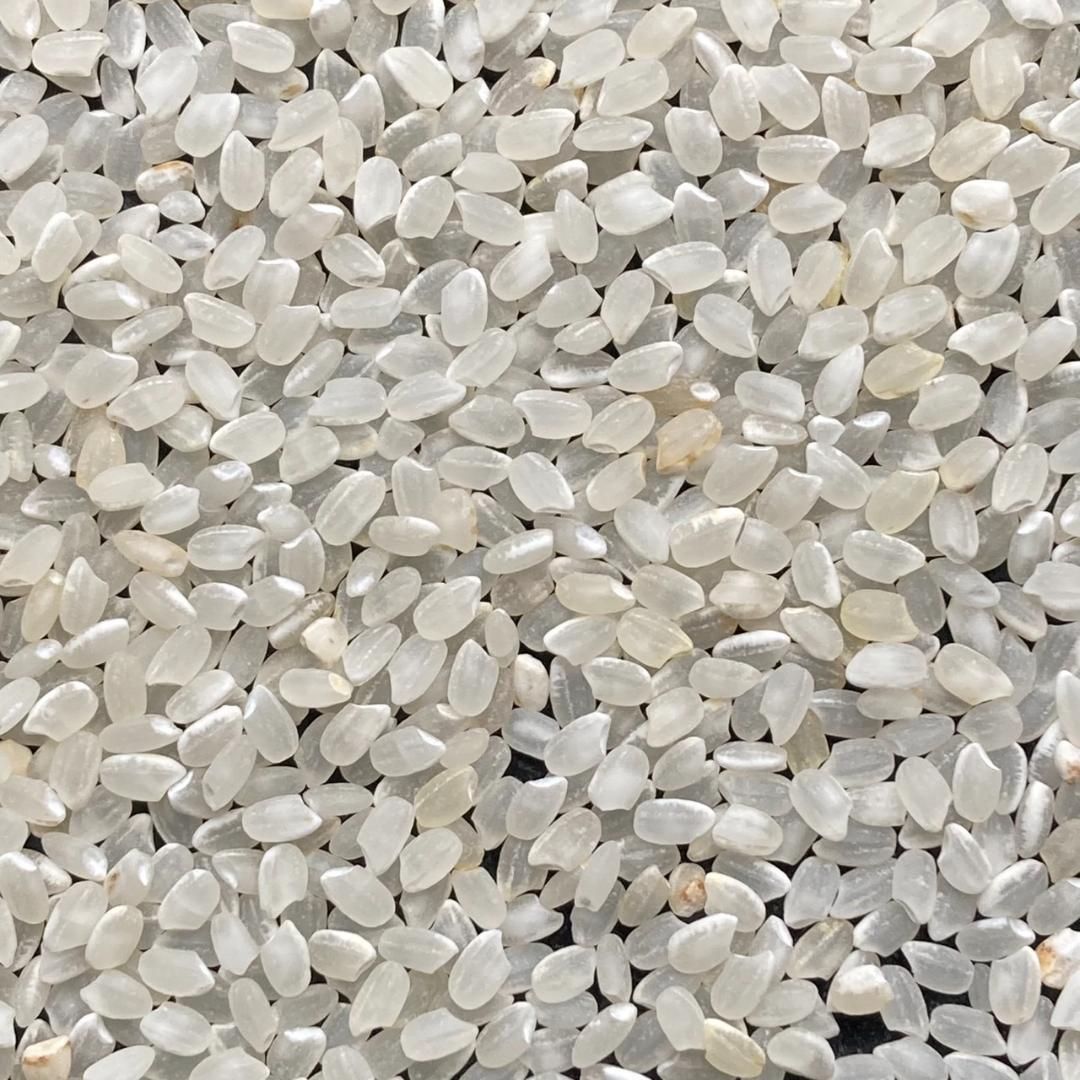 20kg 小米 鳥の餌 砕米 色彩選別機で飛ばしたお米等です 20kg 小米 鳥の餌 砕米 色彩選別機で飛ばしたお米等です