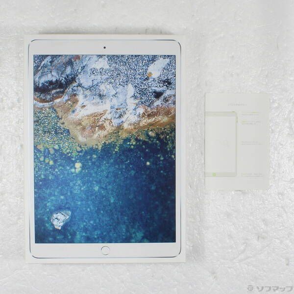 ipadpro 256gb  10.5ｲﾝﾁ  MPF02J/A(シルバー) Apple iPad Pro 10.5インチ Wi-Fi 256GB MPF02J/A [シルバー
