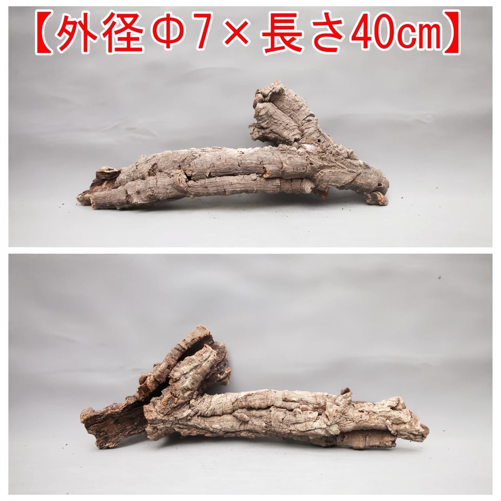 W266 ポルトガル産 キャノンコルク コルク樹皮 コルク板