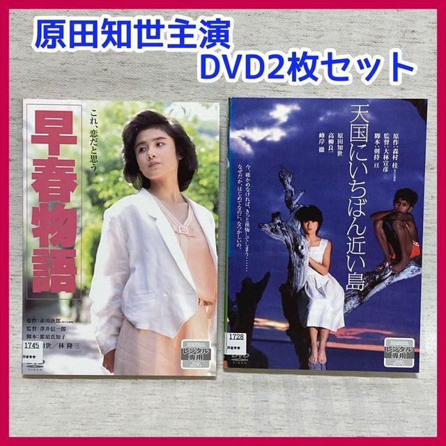 DVD】天国にいちばん近い島 早春物語 原田知世 （大林宣彦監督・日本