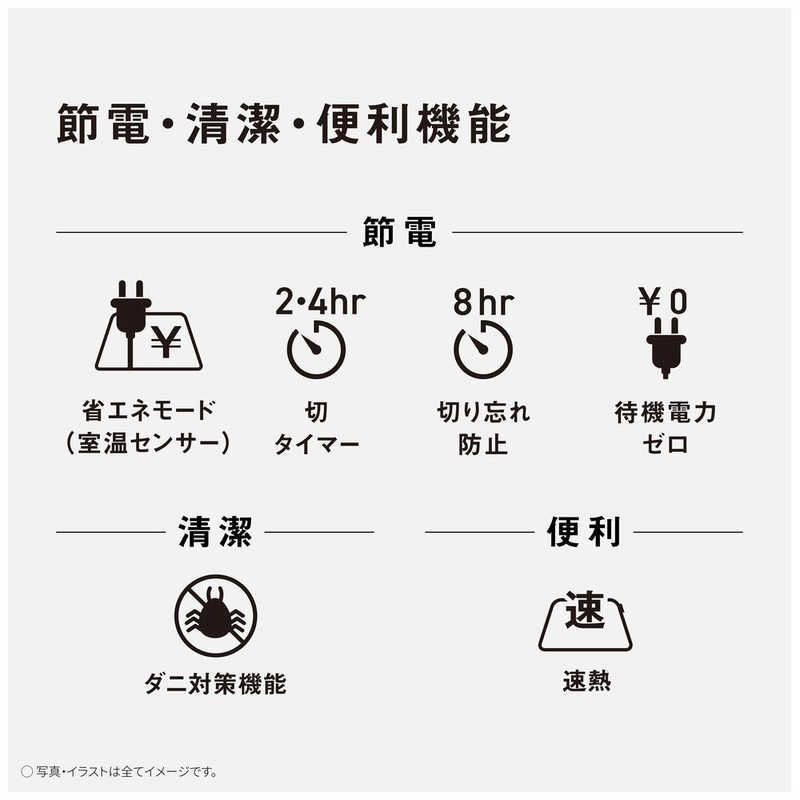 Panasonic カーペット本体