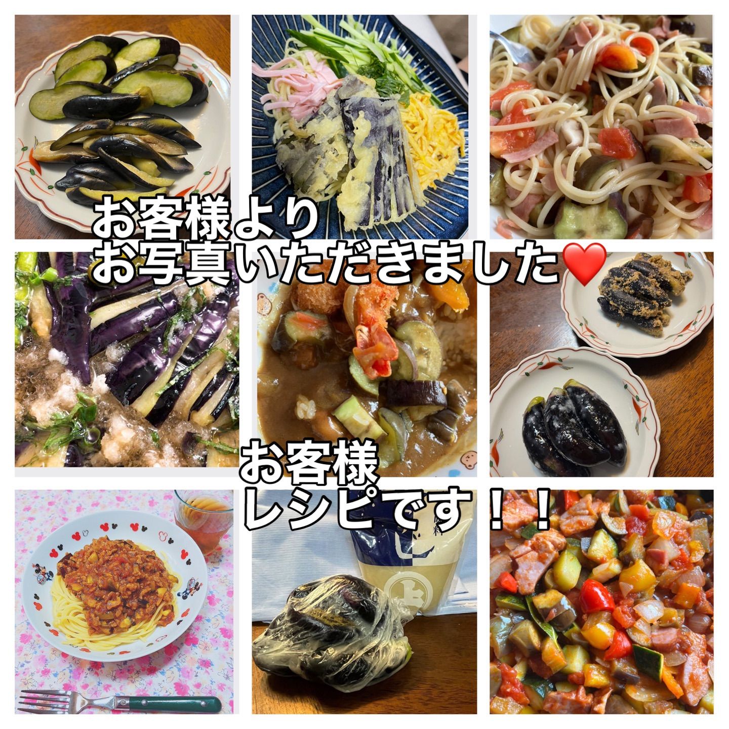 ハウス 朝採り