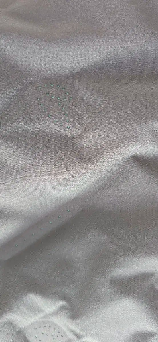 ダウンスカート