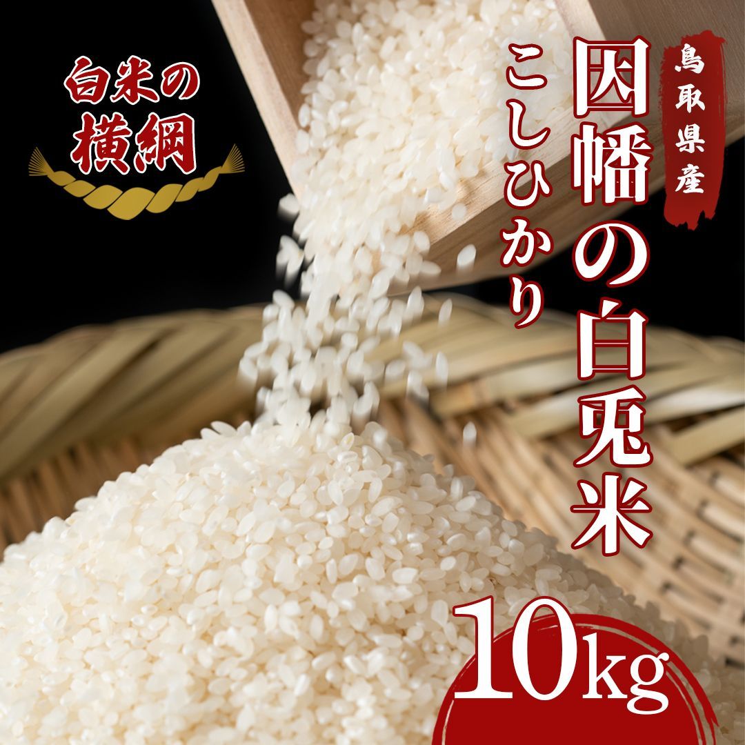 鳥取市産 因幡の白兎米 コシヒカリ 令和6年度産 精米済 10kg 5kg×2袋