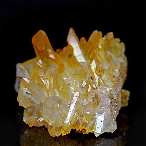 D122-10〕極上品 希少 アーカンソー州産 ゴールデンヒーラー