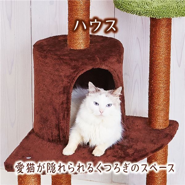 大型猫玩具