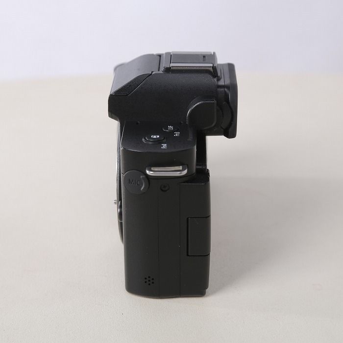 パナソニック DC-G100DK-K LUMIX 10年間保証付き パナソニック LUMIX DC-G100DK-K : 三星