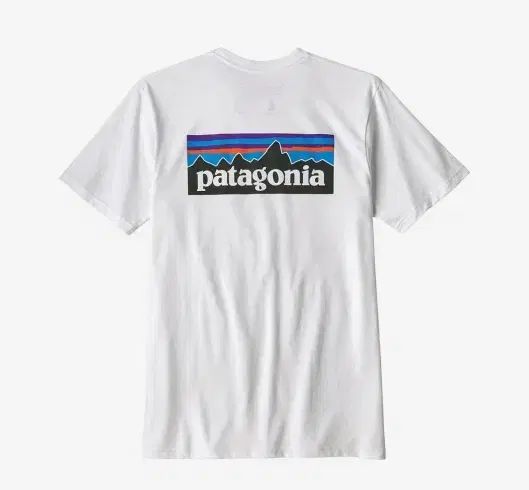 patagonia(パタゴニア) P ー 6 ロゴ 責任 ショートスリーブ 白
