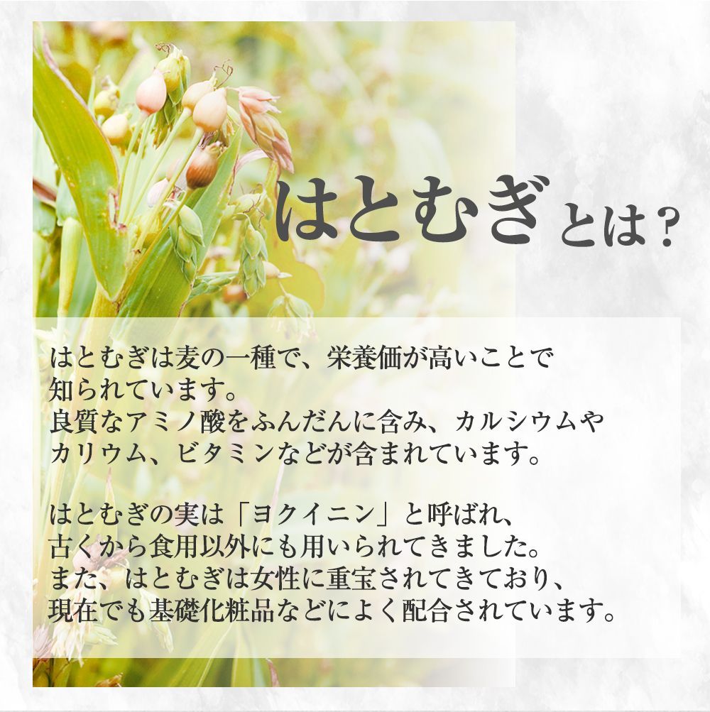 のサムネイル