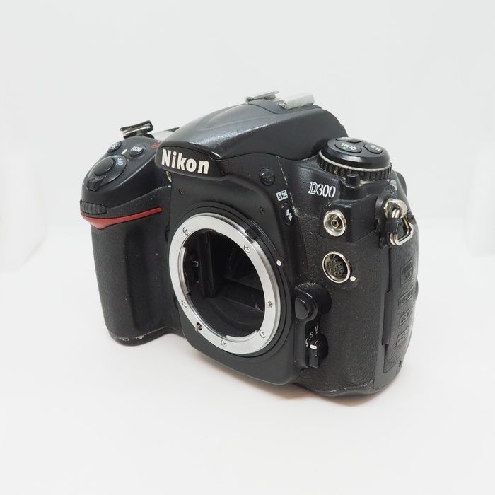 D300