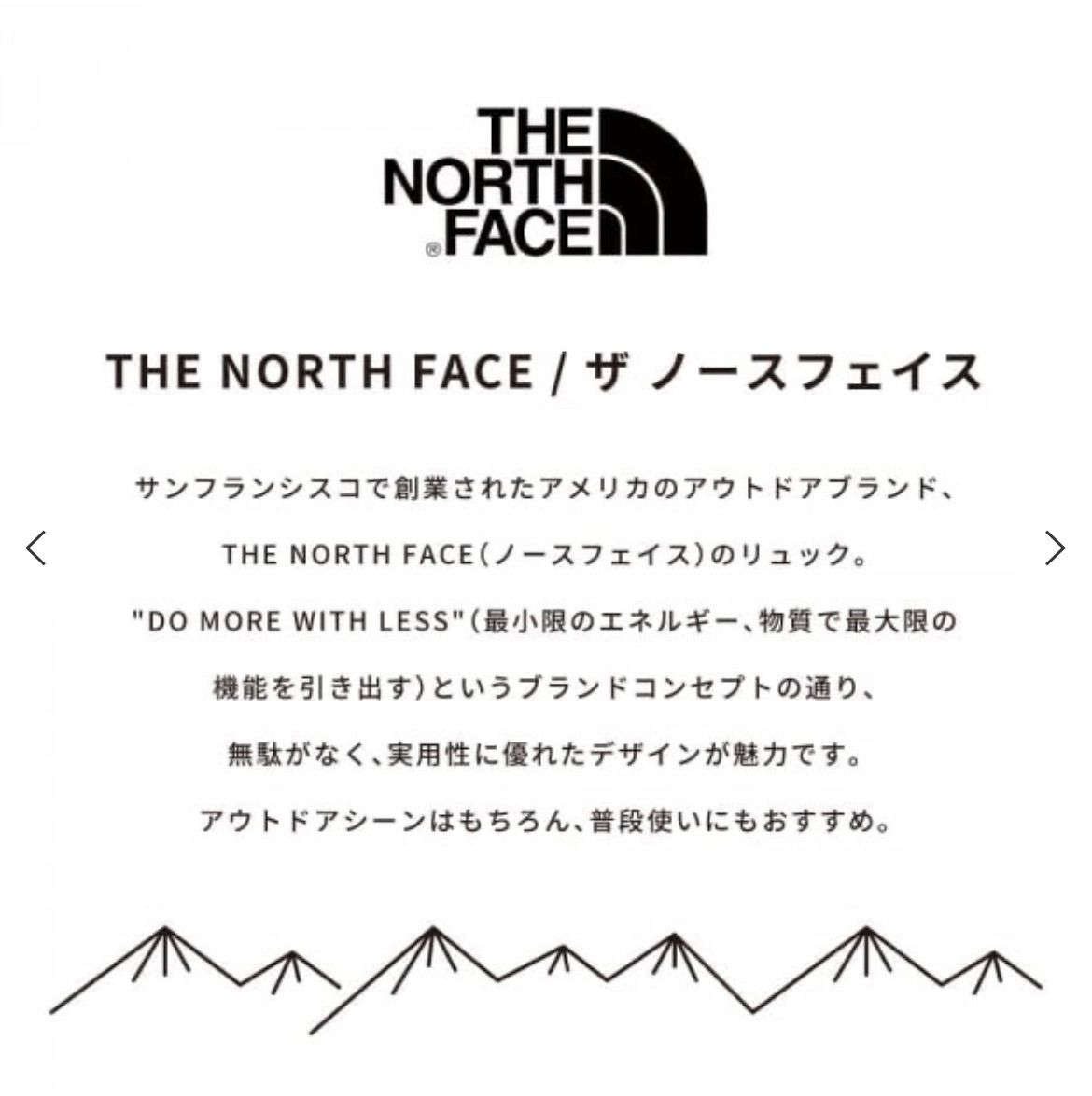 THE NORTH FACE ザ・ノース・フェイス NM2DN53A WHITE LABEL BOREALIS