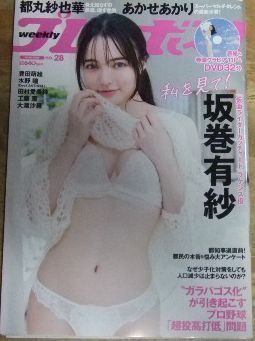 週刊プレイボーイ2024.︎8冊　DVD未開封 週刊プレイボーイ ２０２４年１２月３０日号 2024年11月4日号DVD未開封