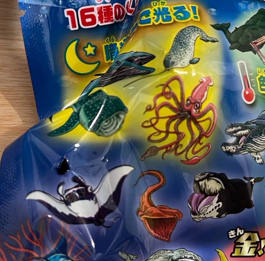4 コククジラ 未開封 くじら&Co くじらアンドコー ビッグ - メルカリ