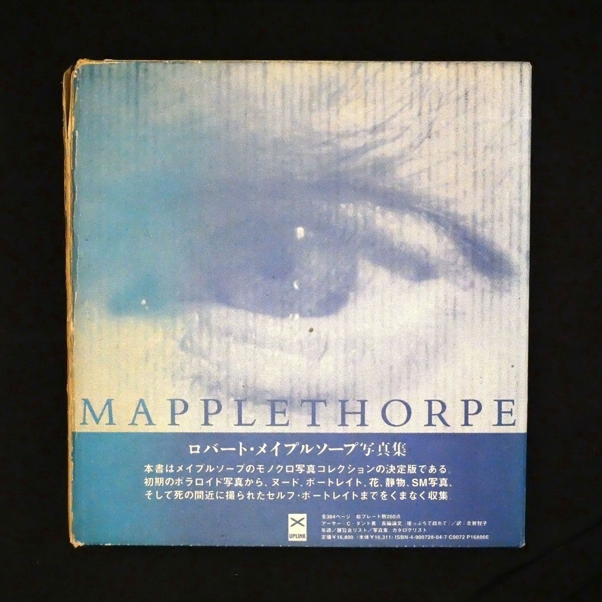 Mapplethorpe」ロバート・メイプルソープ写真集 UPLINK 1994年