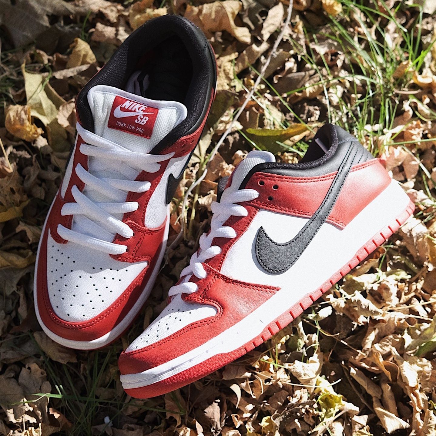 ナイキ SB ダンク LOW プロ Varsity Red and White Nike Dunk Low White Varsity Red (2011) Men's - 318019-103 - US
