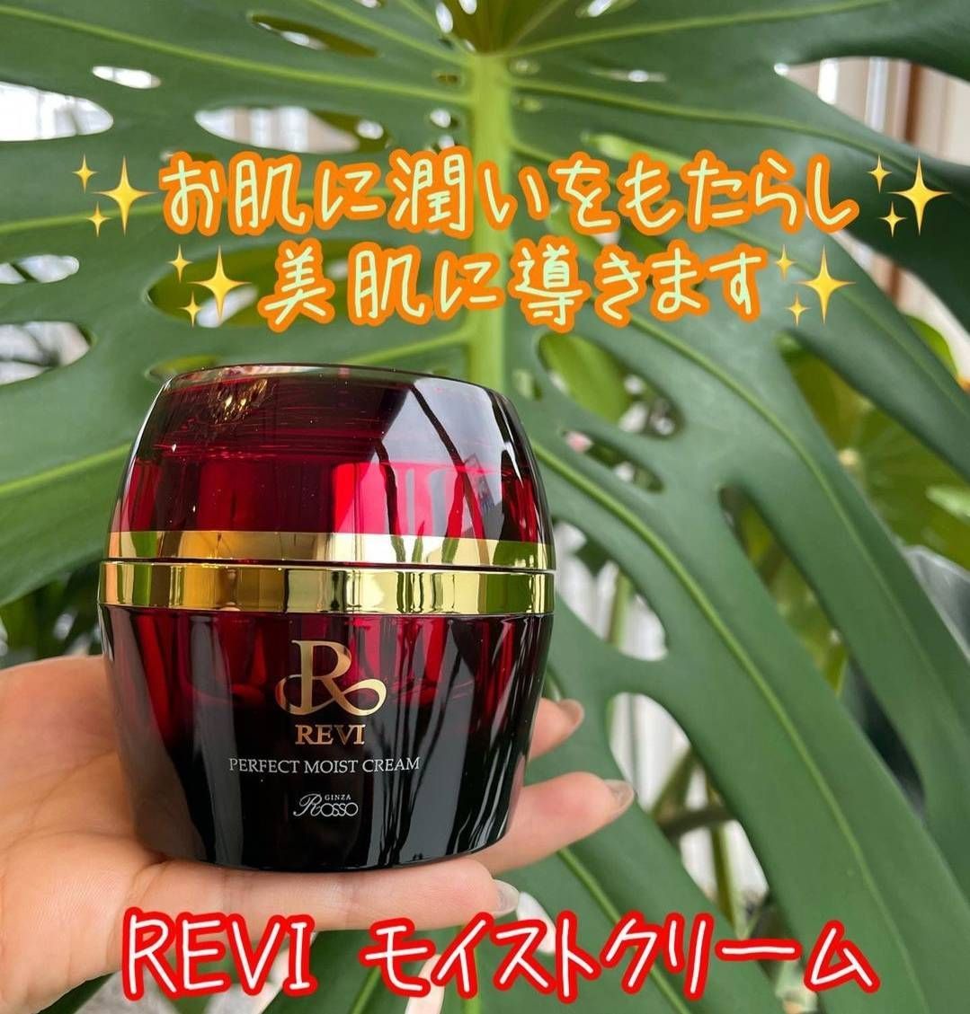 ルヴィ パーフェクト モイストクリーム 50g　REVI