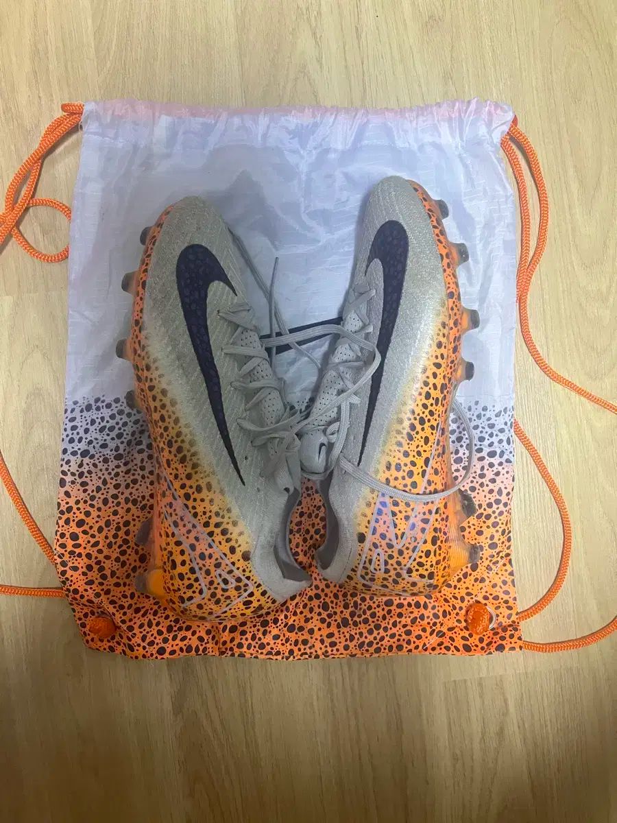 サファリ エリート