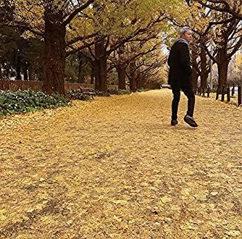 【】「非常に良い」［CD］或る秋の日(受注生産限定盤)