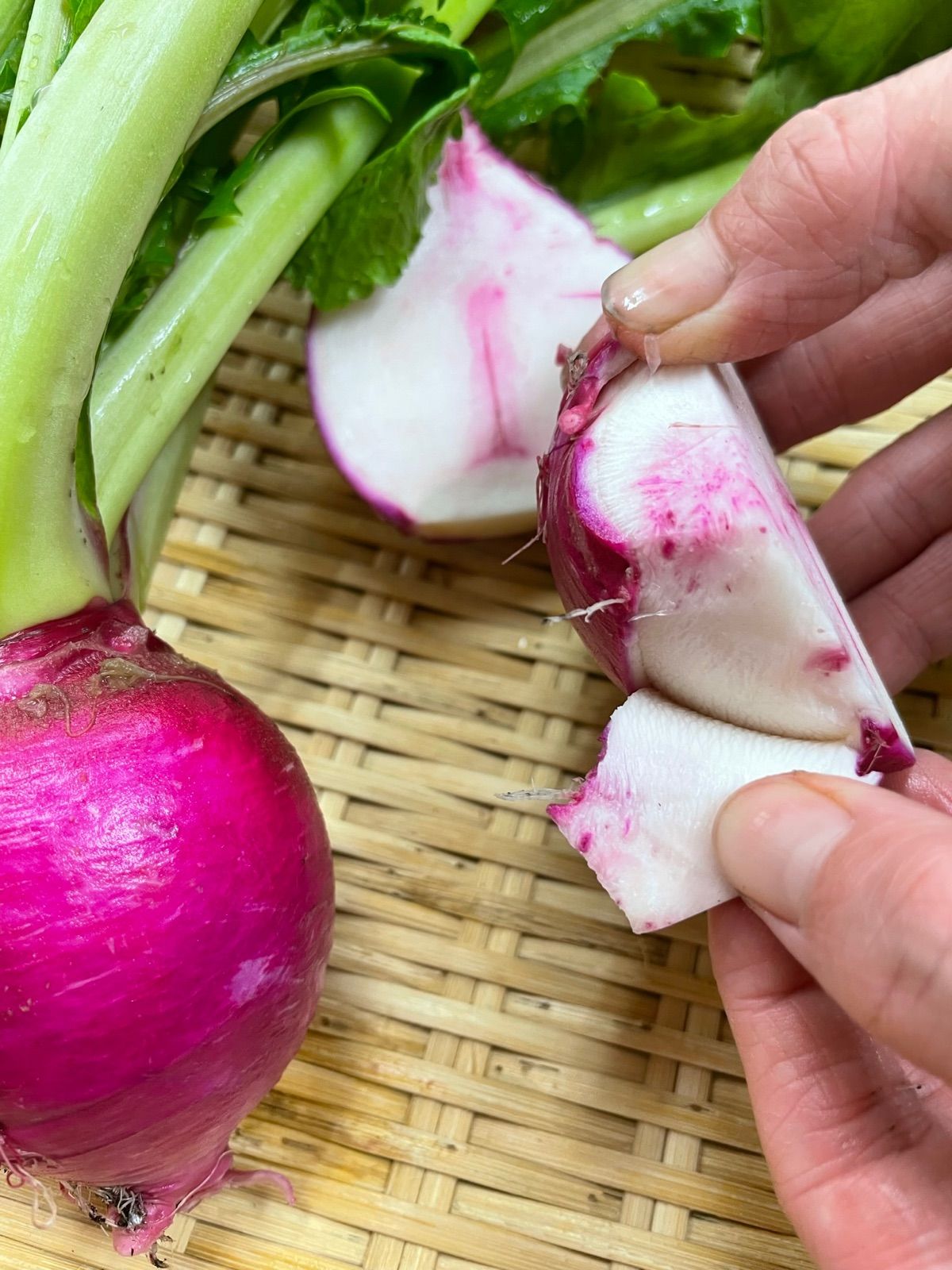 9種類‼️お買い得‼️野菜詰め合わせセット‼️１００サイズ‼️もものすけ入り‼️