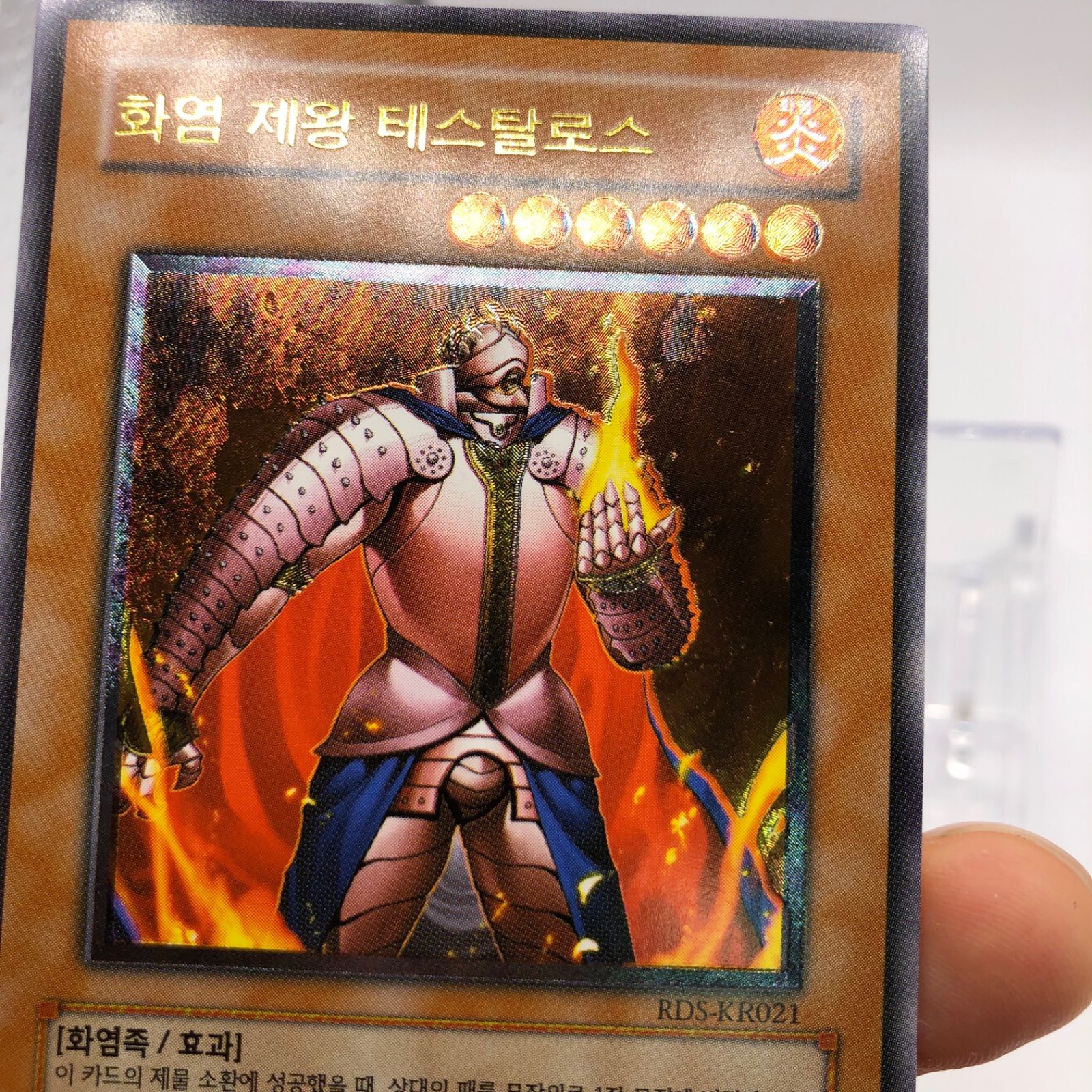 遊戯王 炎帝テスタロス レリーフ ○日本正規品○ - 遊戯王OCG デュエル 