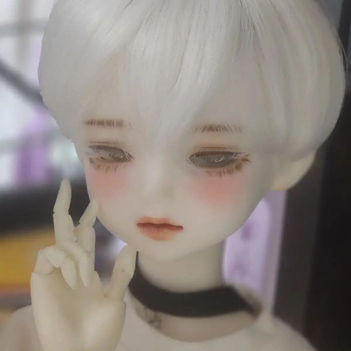 MSD 旧官 ルーツ イカロス