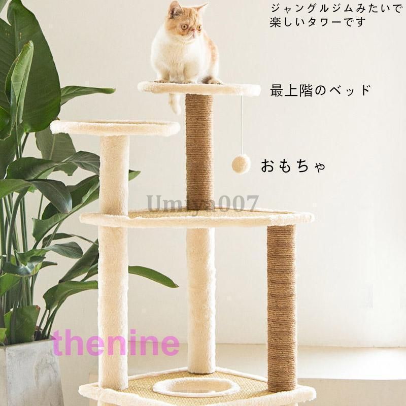 運動不足 頑丈