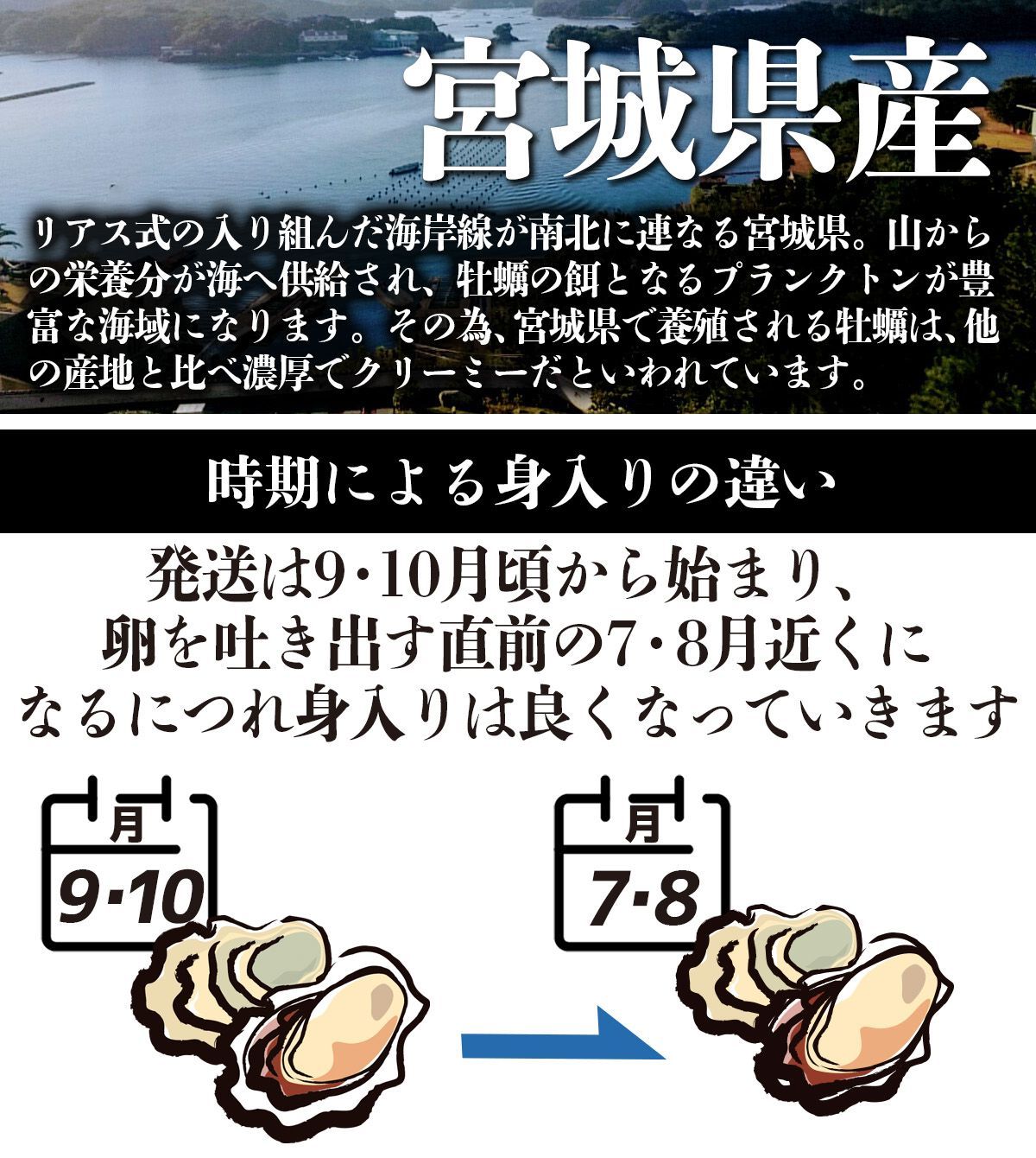牡蠣 生食用 2kg 10～16個 殻付き 産地直送 宮城県産 三陸 カキ 牡蛎 生牡蠣 海鮮 貝 貝類  バーベキュー BBQ 刺身 産直