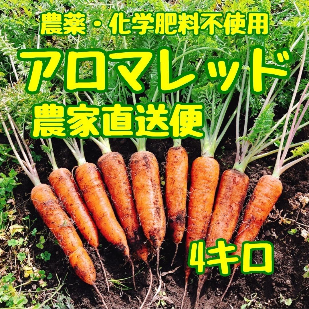 imgrc0088008063.jpg