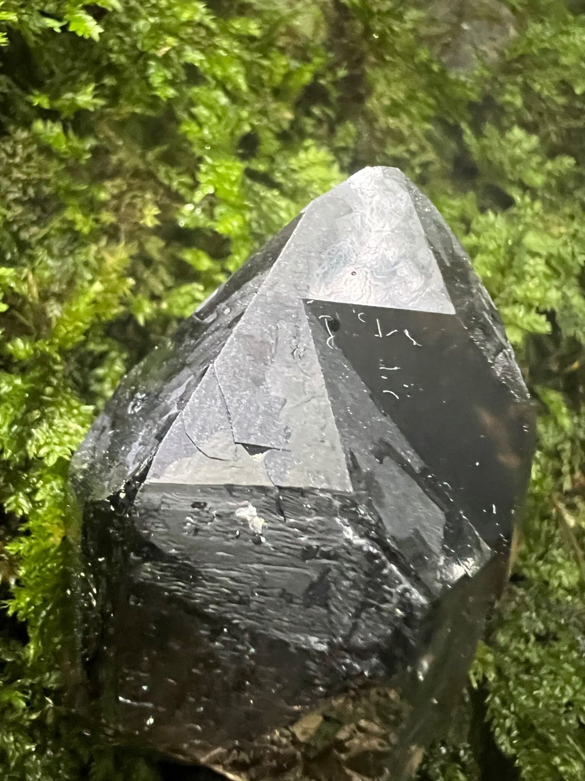 龍脈の精髄 ― 宮崎産黒水晶 「闇を封じる最強の護り」【保護猫