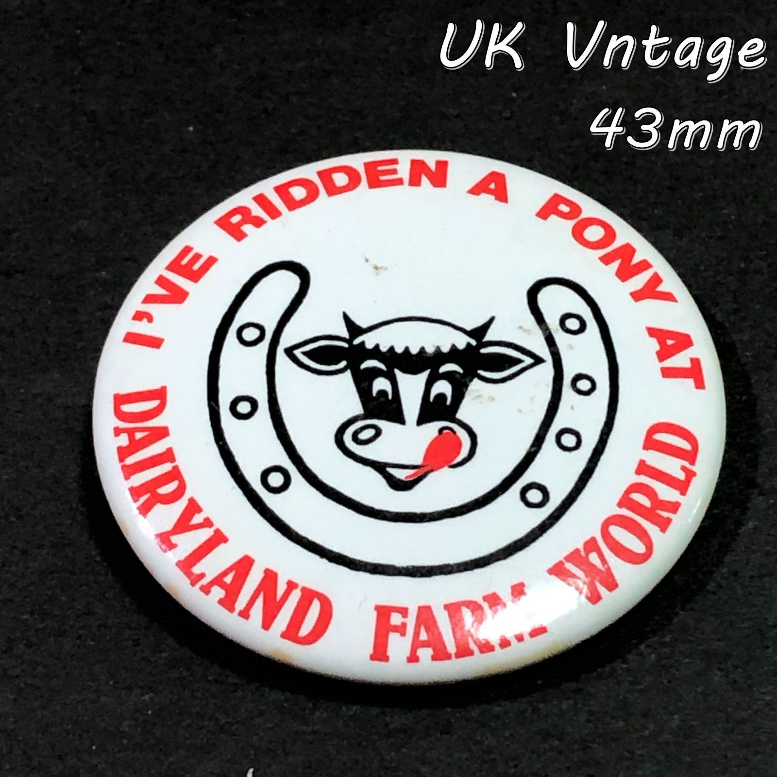 イギリス 輸入 雑貨 缶バッジ 43mm 『 デイリーランドファーム 』 当時