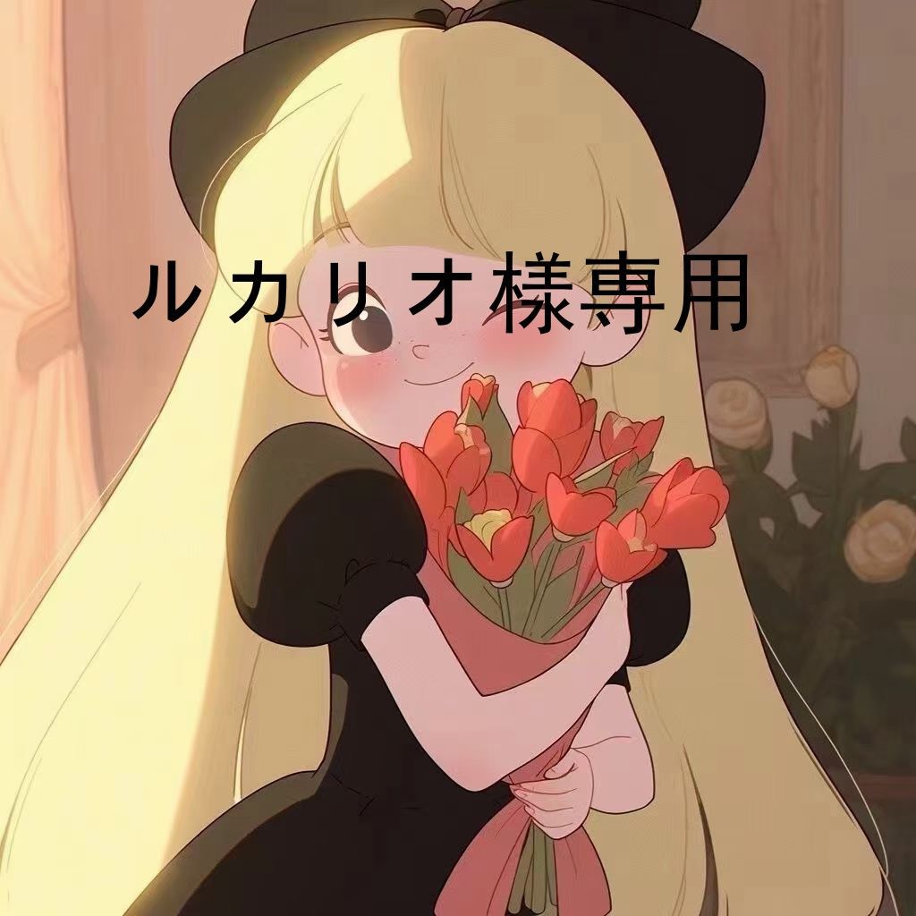 ルカリオ様専用 2点 - メルカリ
