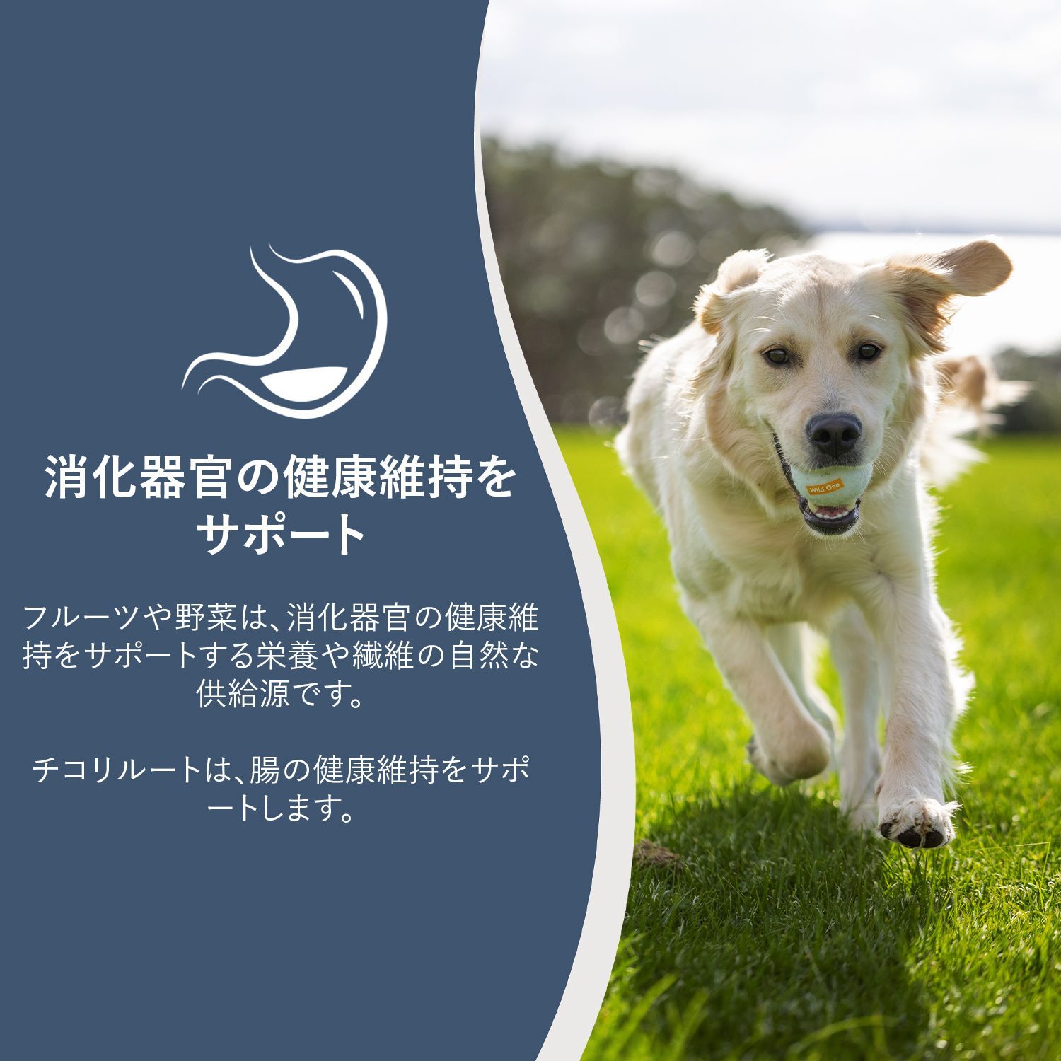PEAK 正規販売店