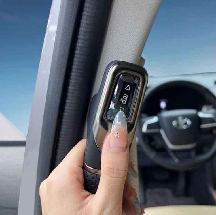 トヨタ アルファード ヴェルファイア シエナ グランビア対応 仮水晶風 中ドアハンドル スイッチカバー 無加工取付 内装ドレスアップ 2個セット FFCRYSTALESIA_COM