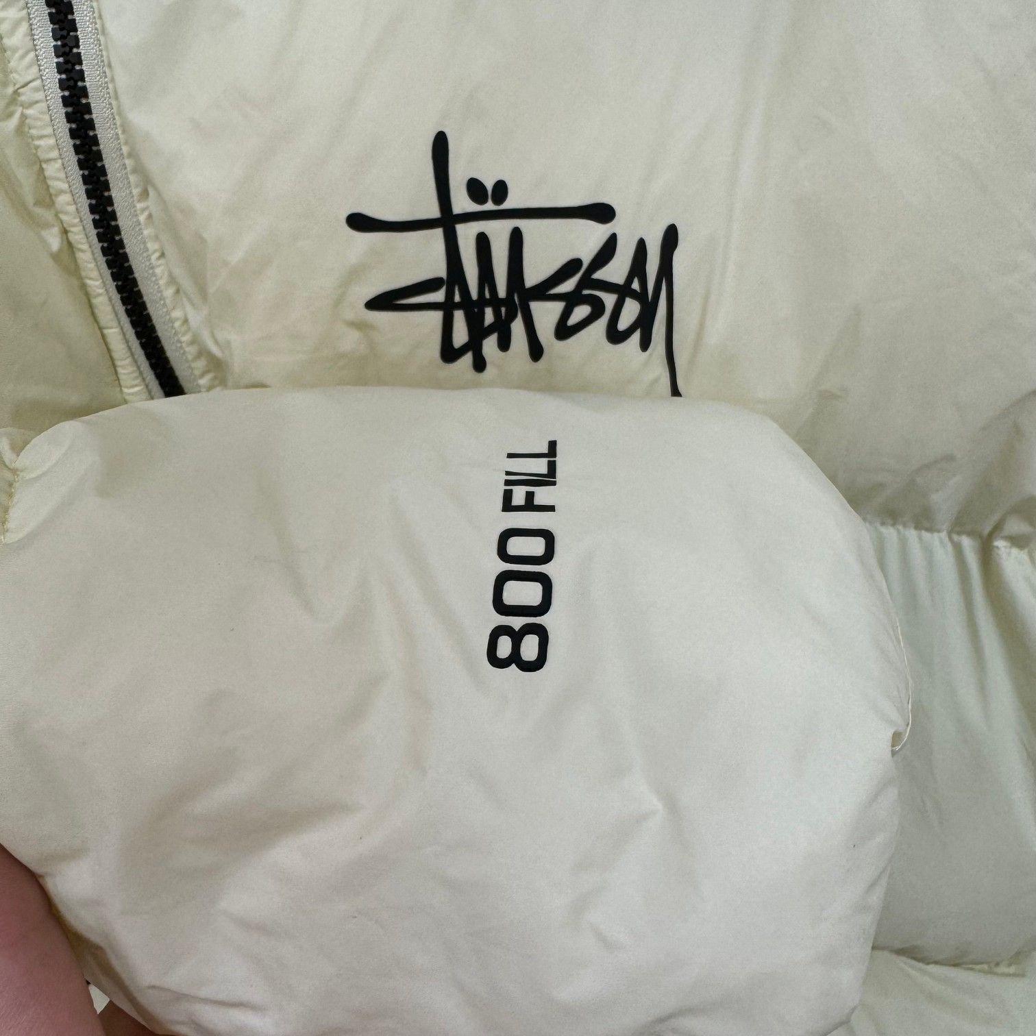 STUSSY